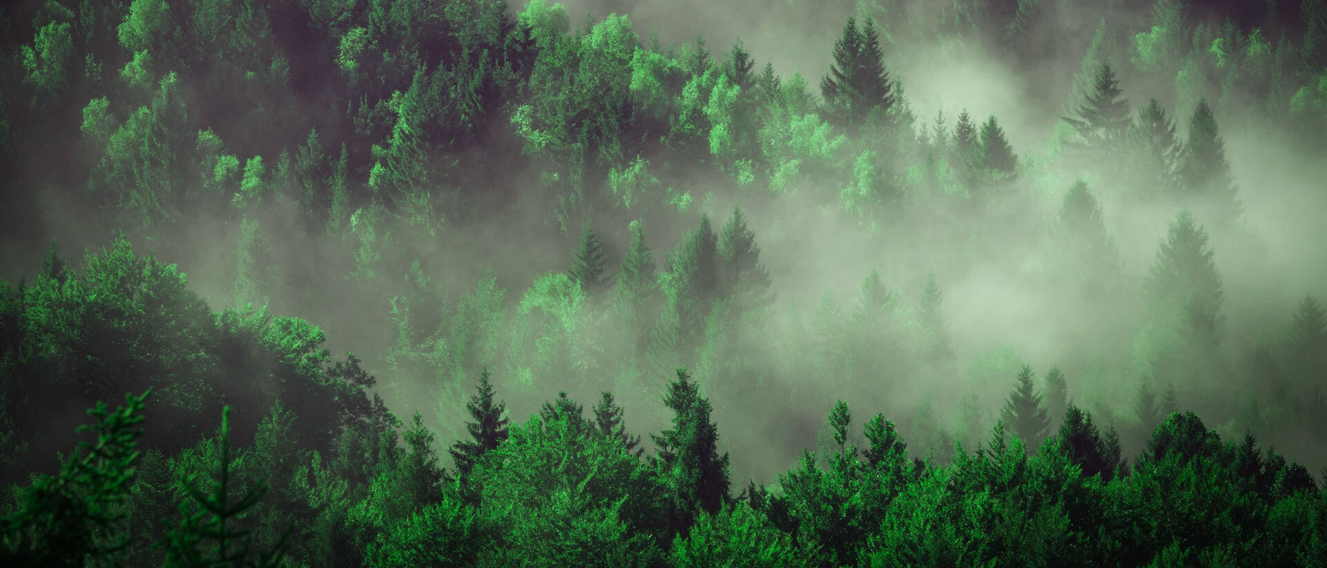 politique environnementale
