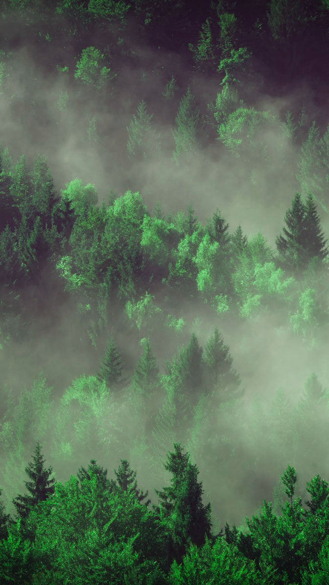 politique environnementale