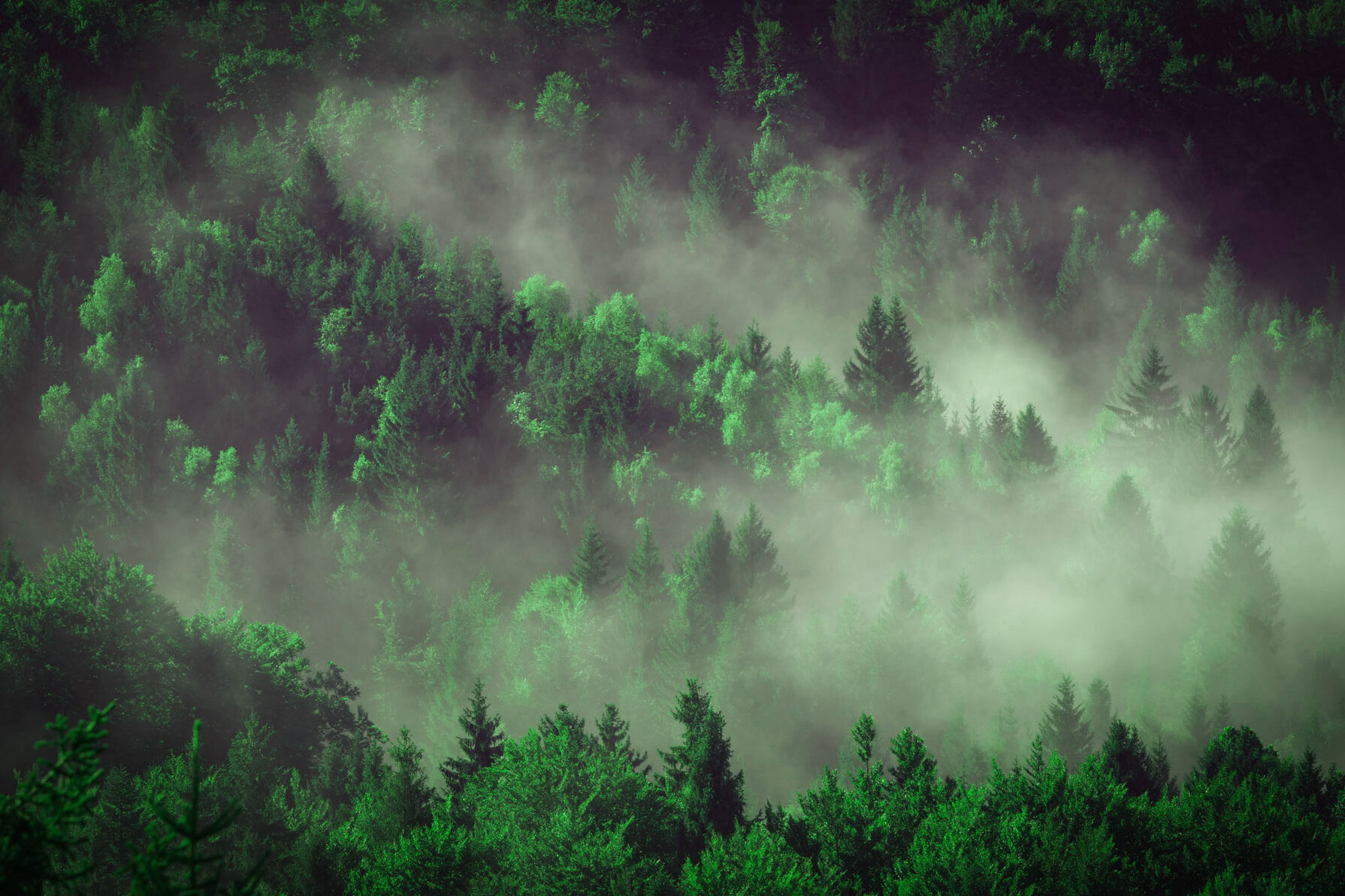 politique environnementale